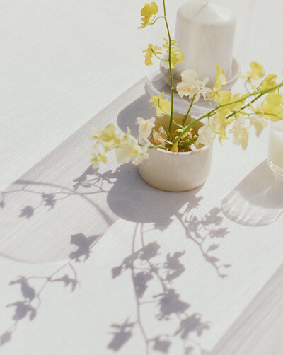 furioso-vineyard-wedding-f-15
