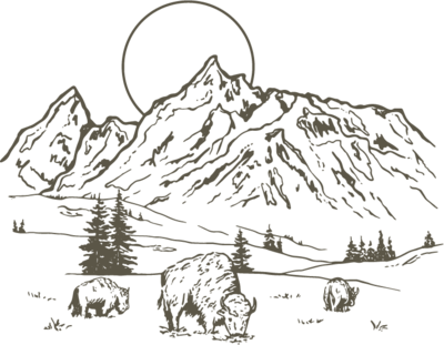 buffalo and mountain illustration 