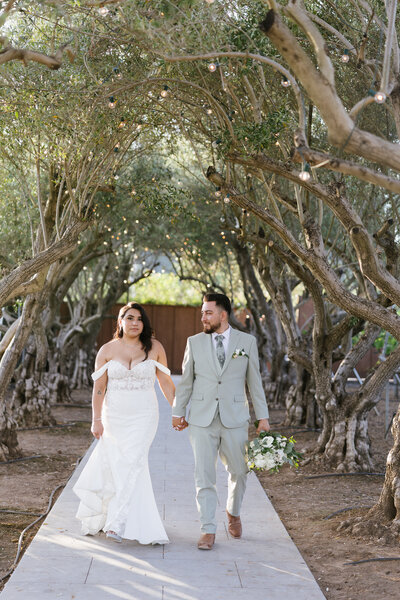 Bride and groom holding hands walking down a pathway surrounded by olive trees at MoHi Vineyard 