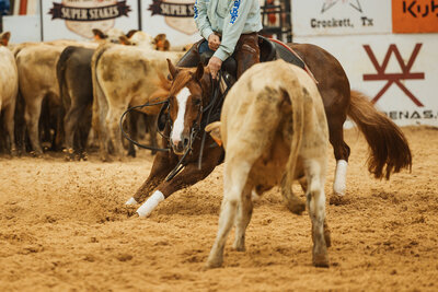 A western couple and their horses during sunset in Weatherford Texas
