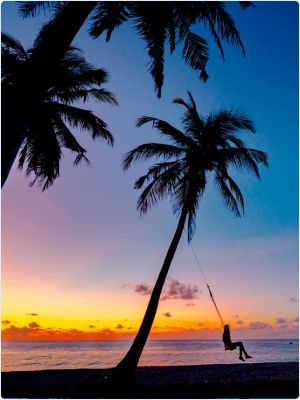 Therapy in my area Deerfield Beach (33064, 33441,33442, 33443)