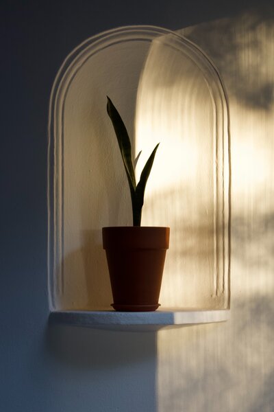 plant on wall shelf, framed with arch design in wall