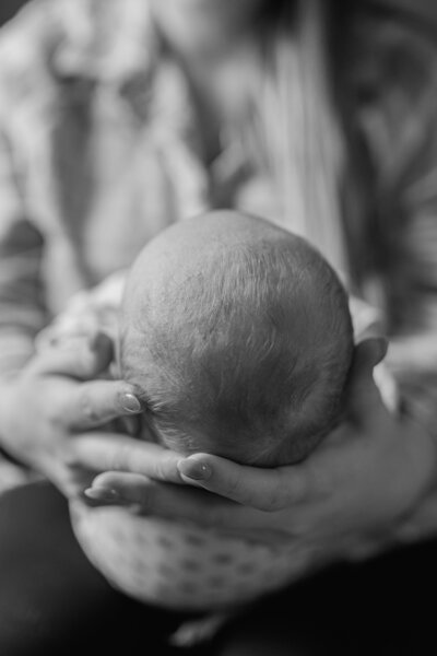 Newborn Photographer in Oakland County Savvy Shoots Photography