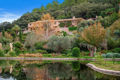 Almond Valley 01