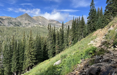 Roosevelt National Forest just minutes away