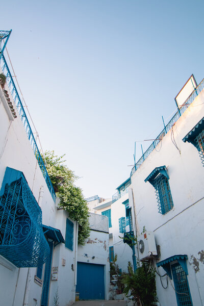 Town of Sidi Bou Said