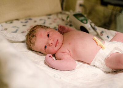 A newborn baby looks at the camera shortly after birth. Photo by Diane Owen