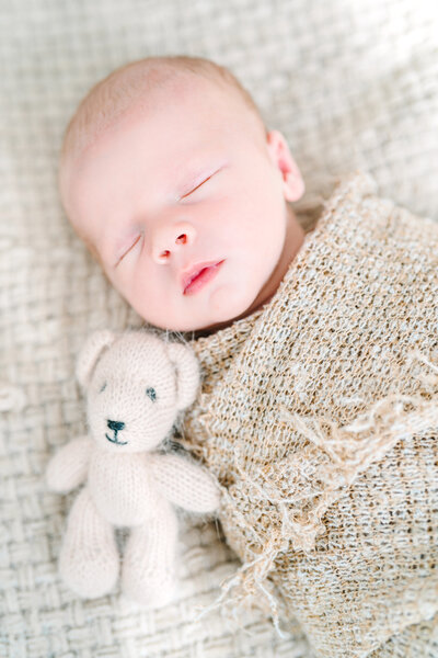 newborn photography session at holly selden photography studio in iron mountain michigan