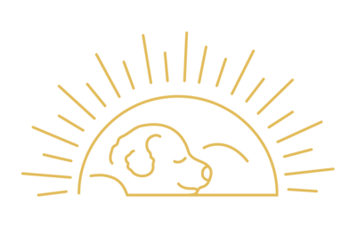 Sammy Copy icon logo