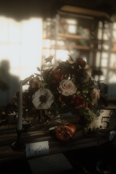Juniper Woods Photography LLC 365