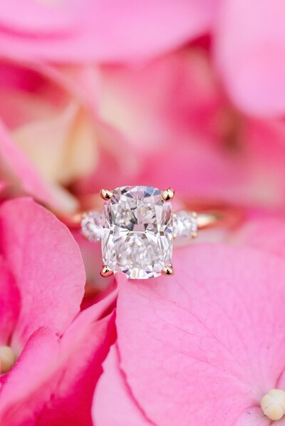 Engagement ring on pink hydrangea