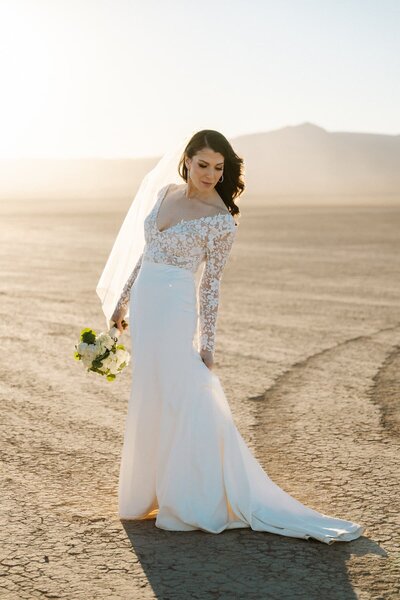 Bride and groom at the red rock canyon scenic overlook in las vegas, nv