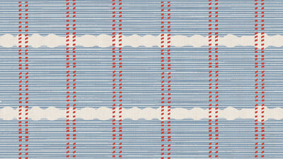 Fancy Chancey blue and red brand texture