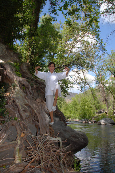 Psilocybin facilitating retreats