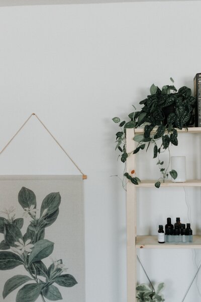 priscilla-du-preez-Wl3aWHbO47k-unsplash