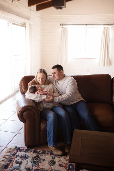 newborn baby in pink and in a bucket  during  her newborn session