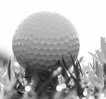 golf2