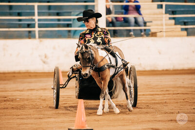 Area VI SP&MHBA Show #1