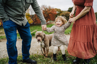 toddler girl holds parents hands and jumps next to dog