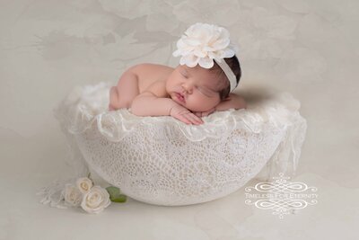Lace Basket Ivory Roses with Soft Floral Backdrop - Sofia