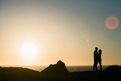 Big Sur Marriage Proposal - Steelman Photographers