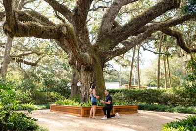 Proposal Photos in St. Augustine Fl | The Lightner Museum Proposal | St Augustine Photographer