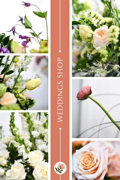 Showit Website Template and Custom Brand and Showit Web Design by With Grace and Gold