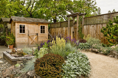 A rustic wooden garden shed surrounded by a variety of flowering plants and a gravel path.