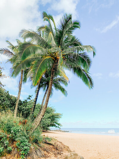 Hawaii 4-56_websize