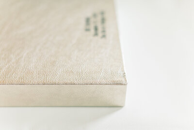 Champagne Album Cover