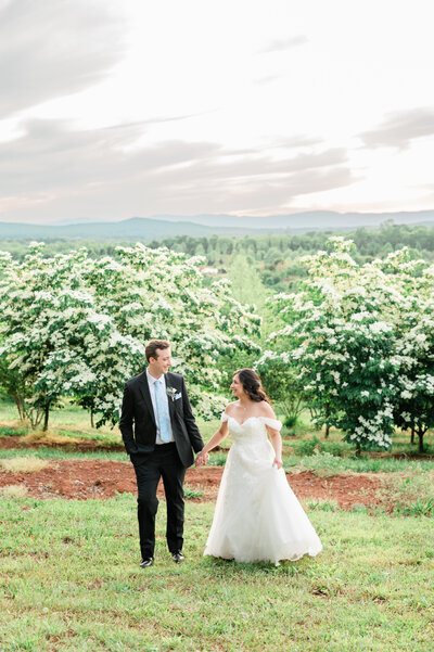 A newlywed couple holding hands in the mountains of charlottesville
