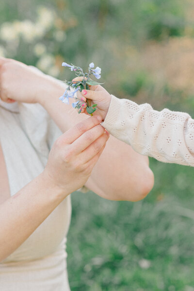 flower-picking-spring-photos