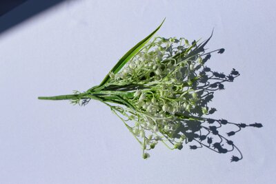 White Lily of the Valley DELUXE BUSH (3)