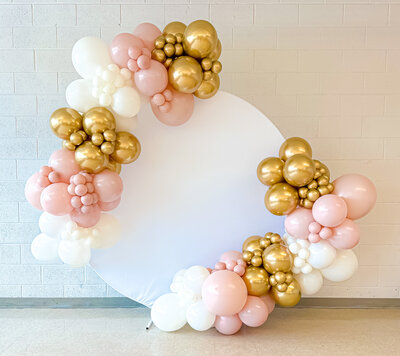 balloons-bismarck-nd-152