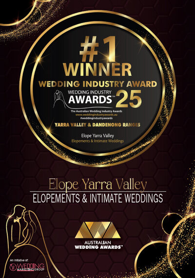 The team at Elope receiving an award on stage