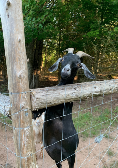 Screen Shot 2025-10-01 at 10.47.55 AM