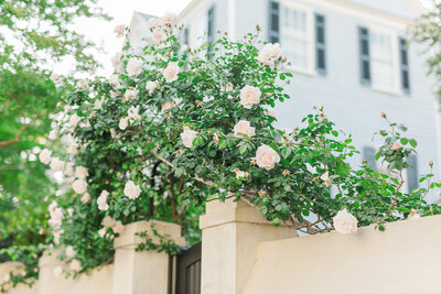 Savannah Wedding Photographer Savannah Golf Club Wedding Laura & Rachel Photography