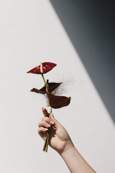 LisaZach_AdmiralsHouse_Preview_0010