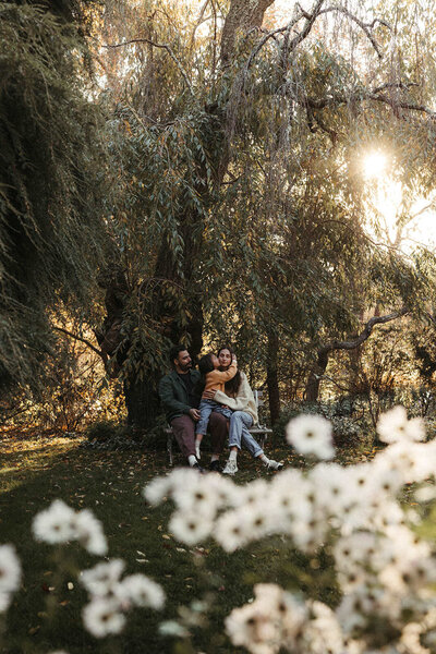 Family photo session in Boston sitting on a bench under a willow tree