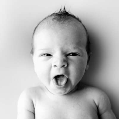Utah Newborn Baby Photographer