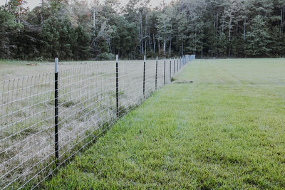 t-post-and-wire-fence-on-grassy-pasture