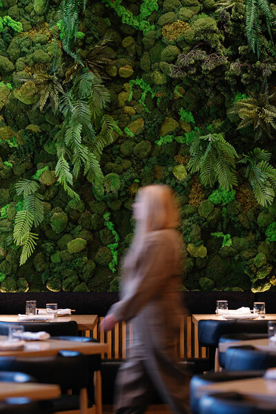 Mylo Fontainebleau 2.01.2024 (83 of 146)