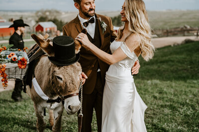 Bride and groom petting a donkey wearing a top hat at a rustic Breckenridge wedding.
