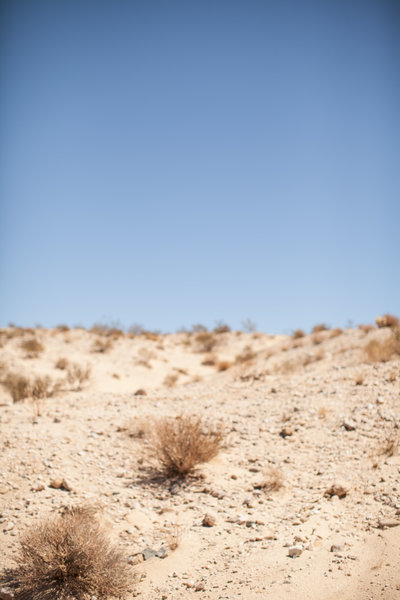 150708_150708 joshua tree_0130