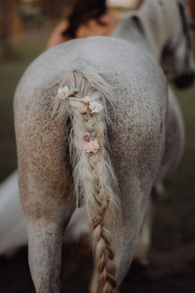 white horses tail decorated with flowers