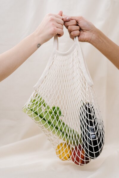 An image of two hands holding a mesh back with vegetables inside of it.