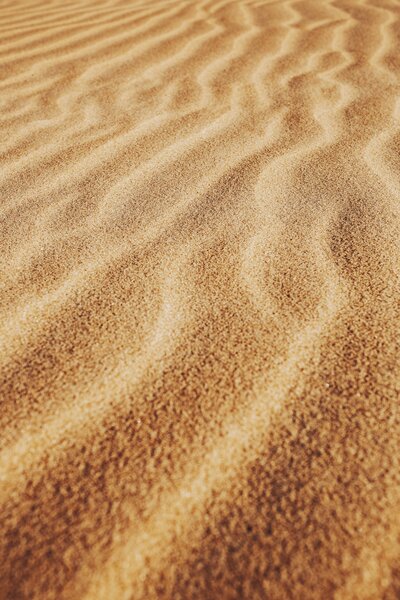 jonathan-borba-PByontUPlVI-unsplash