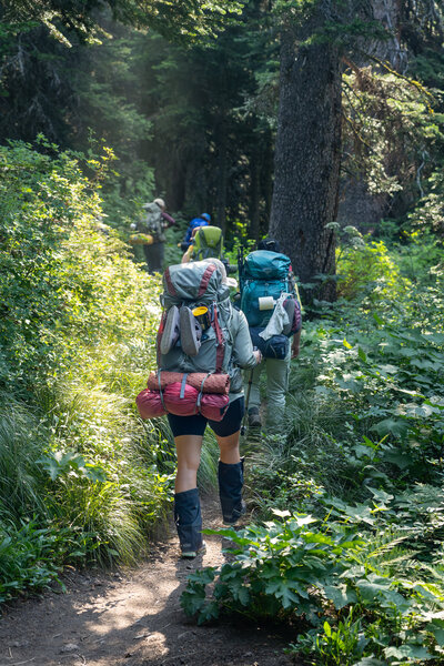 A group of female backpackers hike out in Glacier National Park in Montana