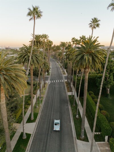 beverly-hills-courthouse-portraits-hanna-walkowaik-photography-0170 (1)