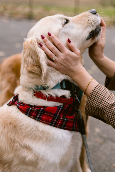Central Park Engagement Photographer26